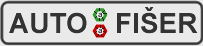 Primary Raster logo
